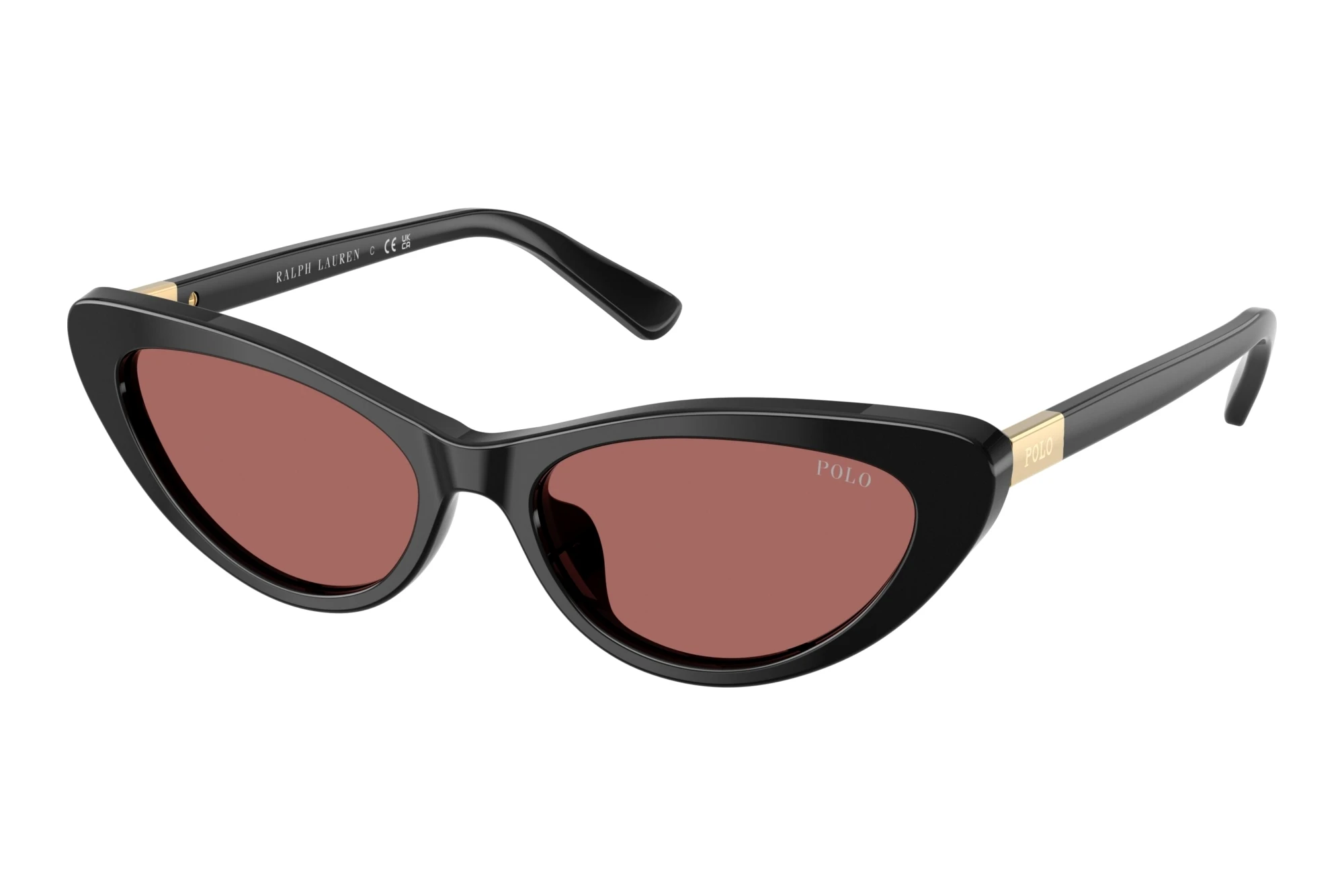 Polo   PH4199U 500169 Dark VioletShiny Black