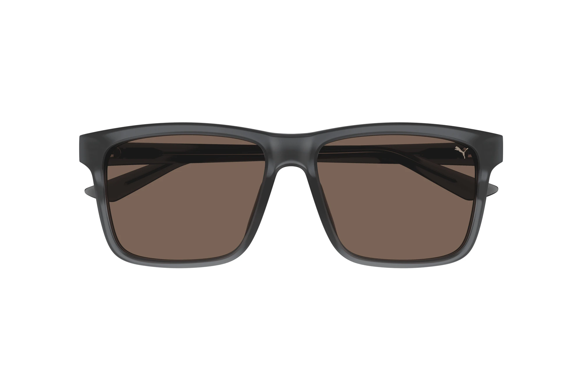 Vorderansicht Puma PU0479SA (004)