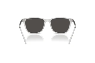 Rückansicht Arnette CORTEX (AN4291 - 285887)