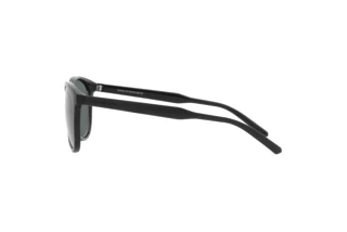Seitenansicht Arnette GORGON (AN4299 - 275381)
