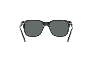 Rückansicht Arnette SURRY H (AN4320 - 287081)