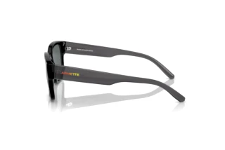 Seitenansicht Arnette HAMIE (AN4325 - 291081)