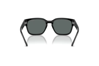 Rückansicht Arnette HAMIE (AN4325 - 291081)