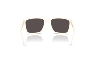 Rückansicht Arnette PLOT TWIST (AN4346 - 296387)