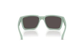 Rückansicht Arnette PLOT TWIST (AN4346 - 296487)