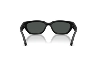 Rückansicht Arnette CURBSIDE (AN4350 - 297687)