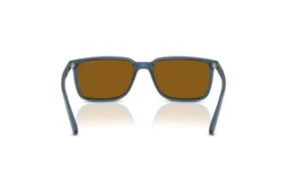 Rückansicht Arnette DINSKY (AN4364 - 299683)