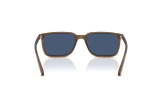 Rückansicht Arnette DINSKY (AN4364 - 299780)