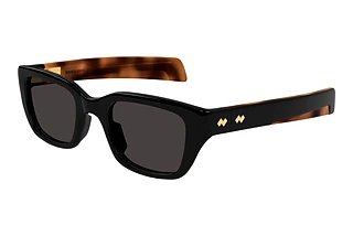 Bottega Veneta BV 1393S 001