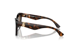 Seitenansicht Burberry BE4420U (300273)