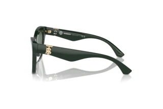 Seitenansicht Burberry BE4420U (403871)