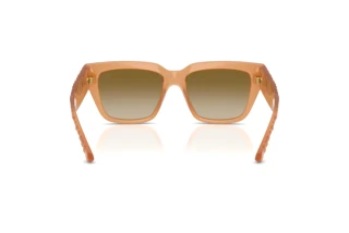 Rückansicht Burberry BE4506U (426613)