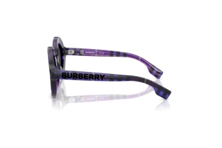 Seitenansicht Burberry JB4386 (411387)
