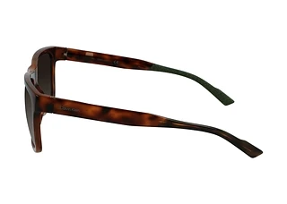 Seitenansicht Calvin Klein CK21531S (220)