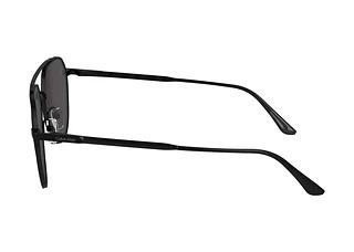 Seitenansicht Calvin Klein CK24100S (002)