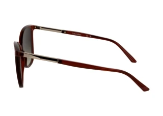 Seitenansicht Calvin Klein CK25504S (605)