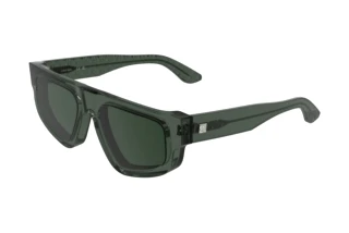 Vorderansicht Calvin Klein CK25539S (300)