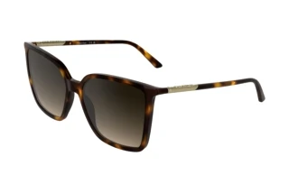 Vorderansicht Calvin Klein CK26502S (240)