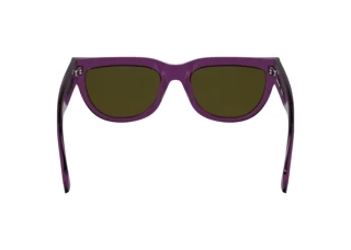 Rückansicht Calvin Klein CKJ25600S (208)