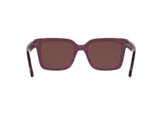 Rückansicht Calvin Klein CKJ26301S (208)