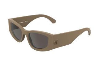 Vorderansicht Calvin Klein CKJ26608S (266)