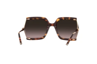 Rückansicht Carolina Herrera HER 0216/G/S (LVL/HA)