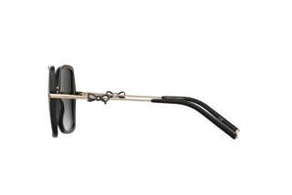 Seitenansicht Carolina Herrera HER 0217/S (2M2/9O)