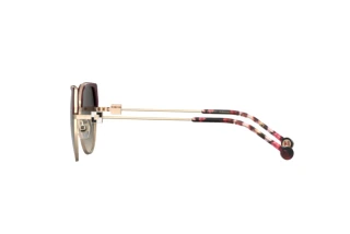 Seitenansicht Carolina Herrera HER 0238/S (6K3/9O)