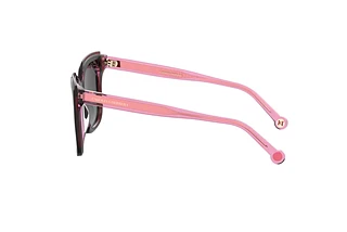 Seitenansicht Carolina Herrera HER 0249/G/S (0T5/9O)