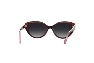 Rückansicht Carolina Herrera HER 0250/S (0T5/9O)