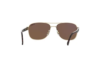 Rückansicht Carrera C FLEX 02/G/S (J5G/YL)