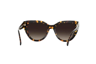 Rückansicht Carrera CARRERA 3017/S (086/HA)