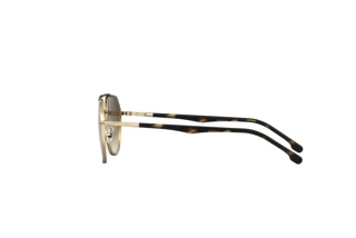 Seitenansicht Carrera CARRERA 303/S (06J/HA)