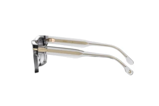 Seitenansicht Carrera CARRERA 305/S (KB7/FQ)