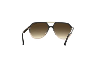 Rückansicht Carrera CARRERA 315/S (YQL/HA)