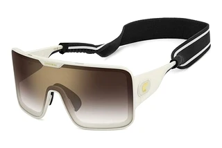 Carrera FLAGLAB  15 VVP/YK