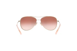 Rückansicht Coach L1013 (HC7079 - 90056F)