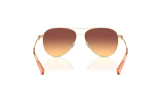 Rückansicht Coach C6178 (HC7128 - 900578)