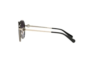 Seitenansicht Coach C6179 (HC7129 - 50028G)