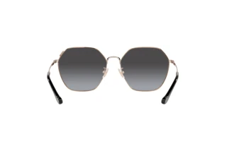 Rückansicht Coach C7998 (HC7132 - 93318G)