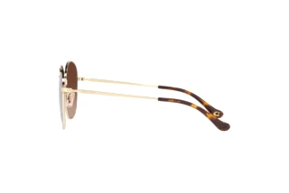 Seitenansicht Coach C7996 (HC7134 - 9005T5)