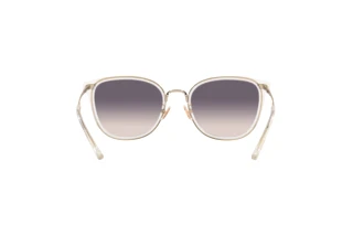 Rückansicht Coach C7999 (HC7135 - 511136)