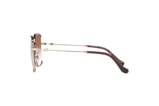 Seitenansicht Coach C8000 (HC7139BD - 94028D)