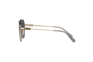 Seitenansicht Coach CD477 (HC7141 - 90058G)