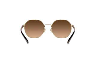 Rückansicht Coach CH556 (HC7147 - 900574)