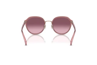 Rückansicht Coach CL924 (HC7154 - 93318D)