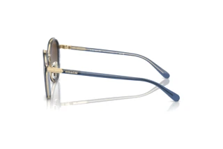 Seitenansicht Coach CL924 (HC7154 - 943513)