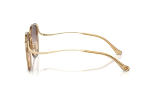 Seitenansicht Coach CL905 (HC7157D - 5736U8)