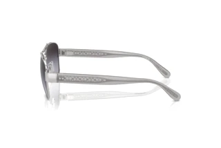 Seitenansicht Coach CR617 (HC7161 - 90018G)