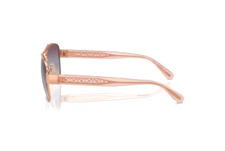 Seitenansicht Coach CR617 (HC7161 - 93310J)